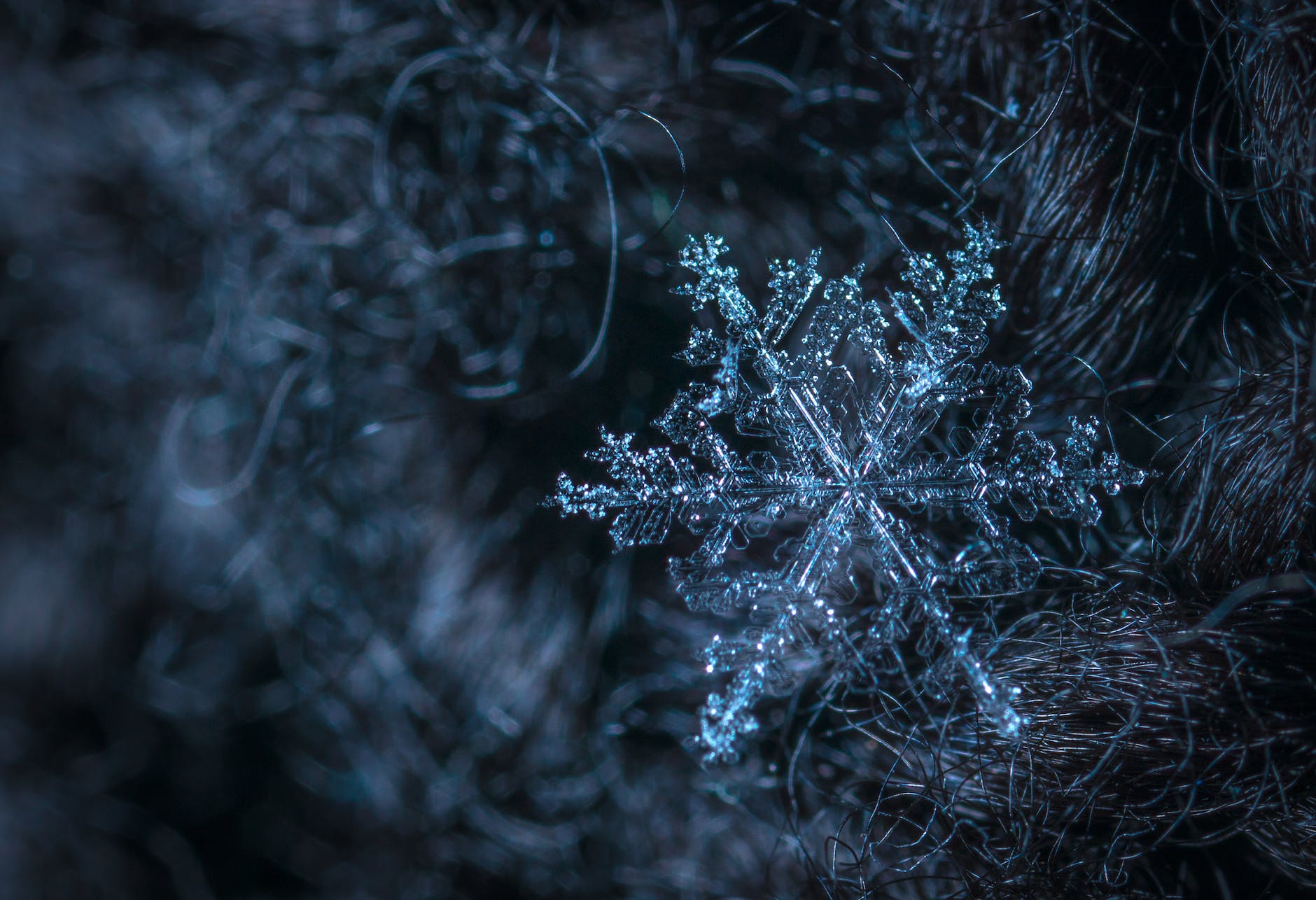 Am I living through a winter slowdown? - The Sorcerers' Realm - Author ...
